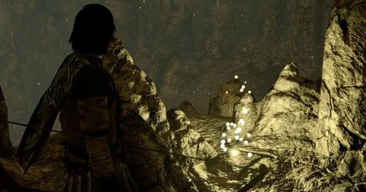 Shadow of the Colossus Enlightenments: How to get the Sword of Dormin after finding all 79 coins