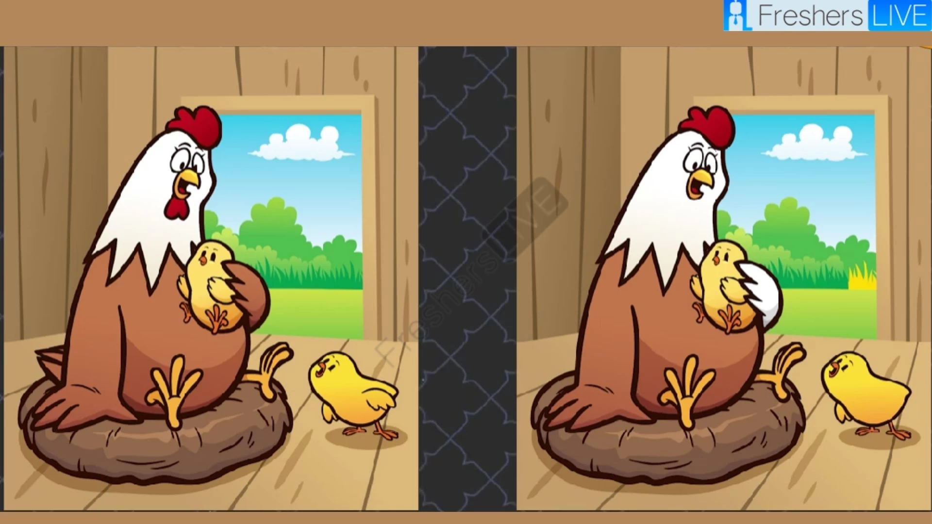 Spot 5 differences between the images of the Hen and the Chicken in just 12 seconds