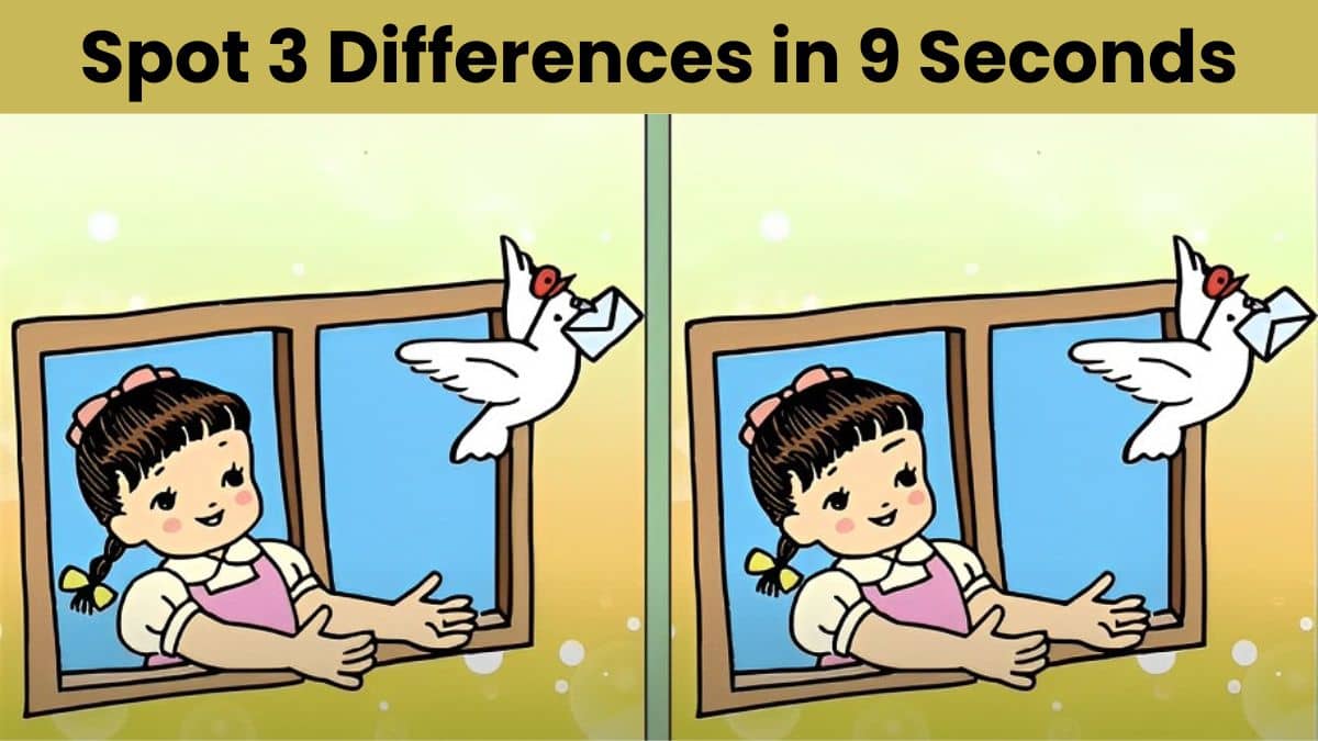 Can You Spot 3 Differences in 9 Seconds?