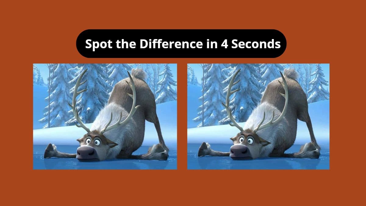 Spot the difference in 4 seconds