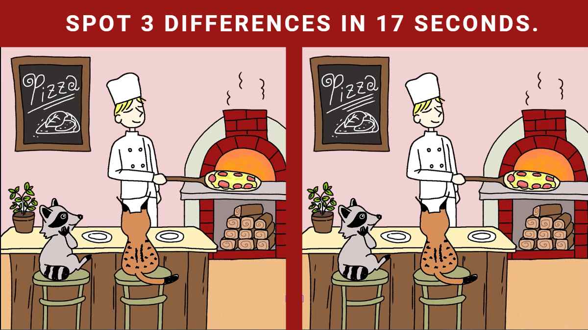 Spot The Difference- Spot 3 Differences In 15 Seconds!