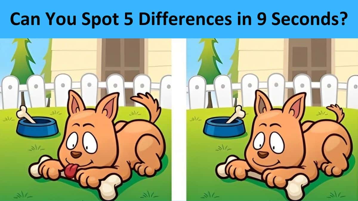 Can you spot 5 differences in 9 seconds?