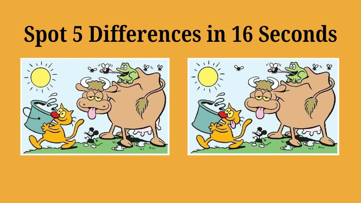 Spot 5 Differences in 16 Seconds