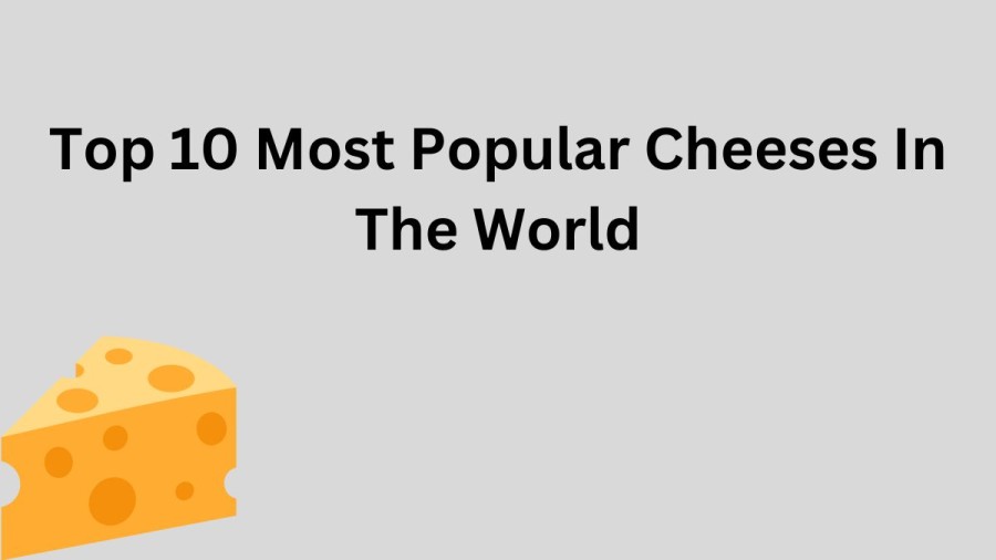 Top 10 Most Popular Cheeses In The World to Add to your Diet