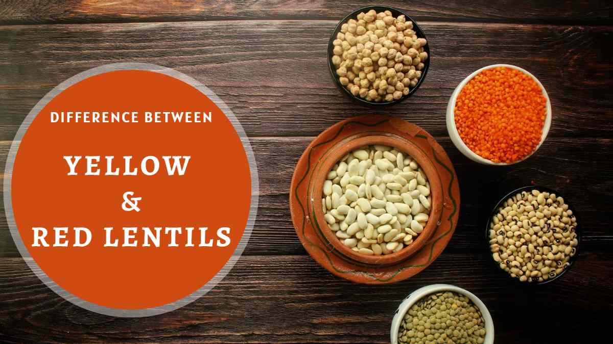 What Is The Difference Between Yellow And Red Lentils?