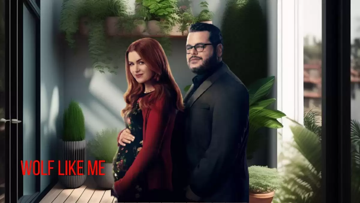 Will There Be A Season 3 Of Wolf Like Me? Wolf Like Me Season 3 Release Date