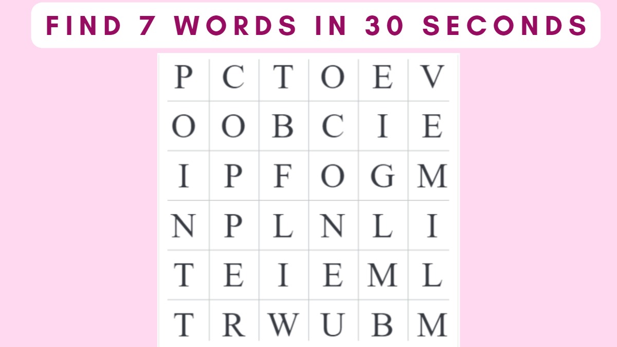 Word Search Puzzle - Spot 7 Hidden Words In 30 Seconds!