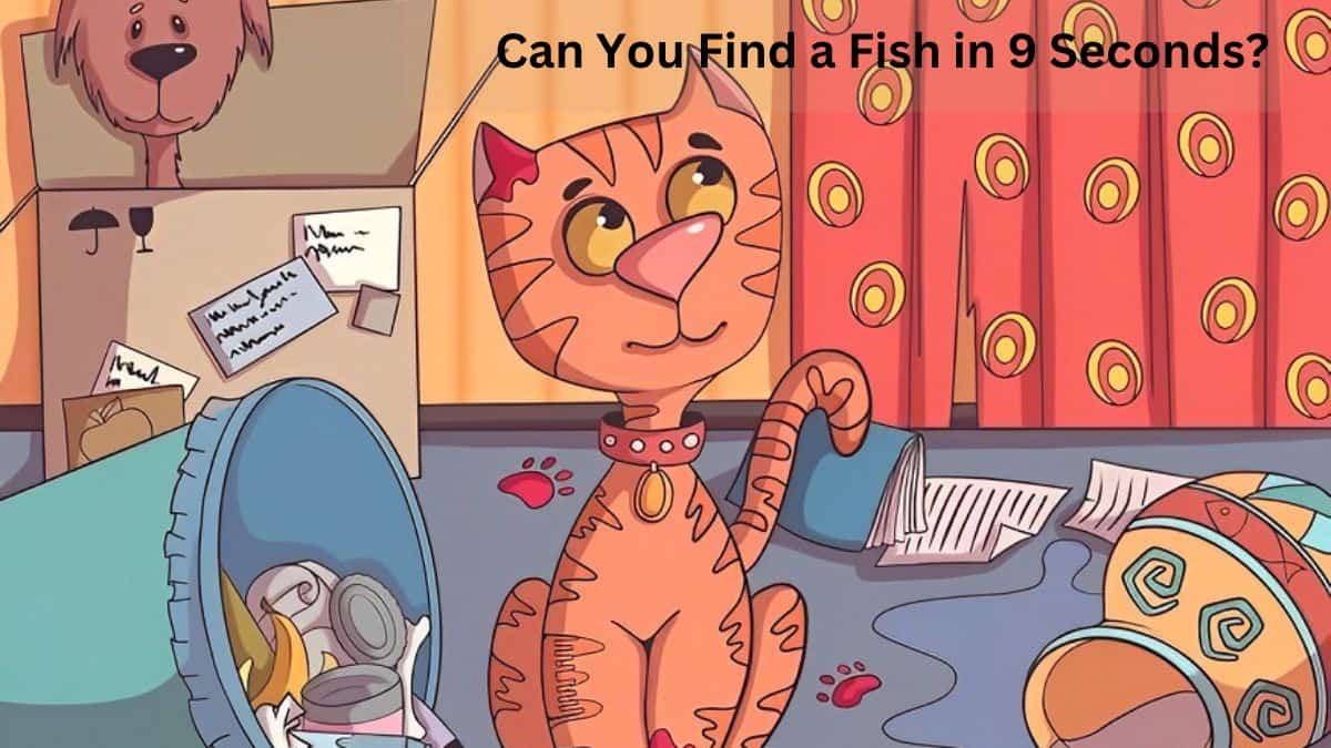 Find Fish in 9 Seconds