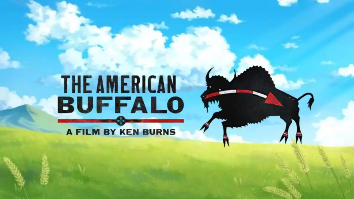 Where to Watch The American Buffalo by Ken Burns? Who Narrates The American Buffalo?