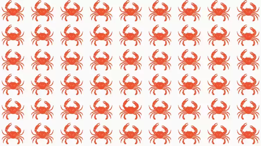 Observation Skills Test: Can you find the Odd Crab in 10 Seconds?