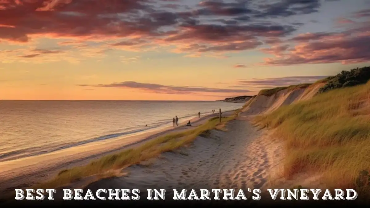 Best Beaches in Martha