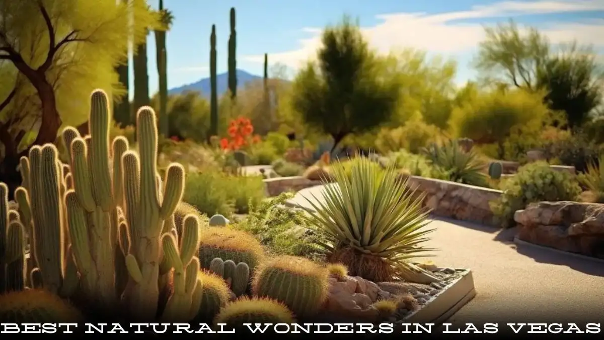 Best Natural Wonders in Las Vegas - Top 10 Stunning Beauty