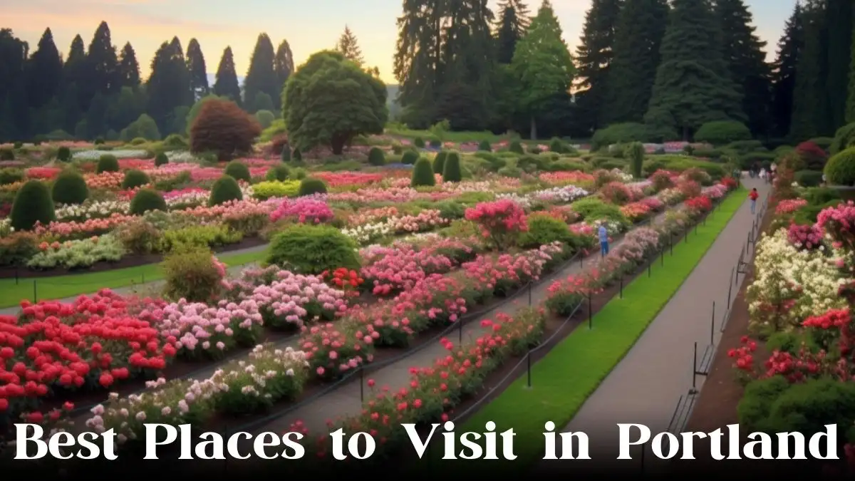 Best Places to Visit in Portland - Top 10 Enchanting Gems