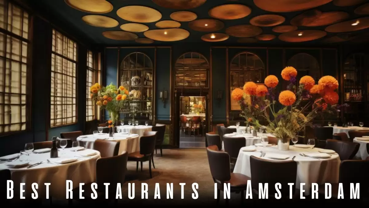 Best Restaurants in Amsterdam - Top 10 Culinary Opulence