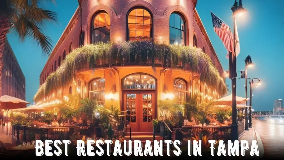 Best Restaurants in Tampa - Top 10 Dining Delights
