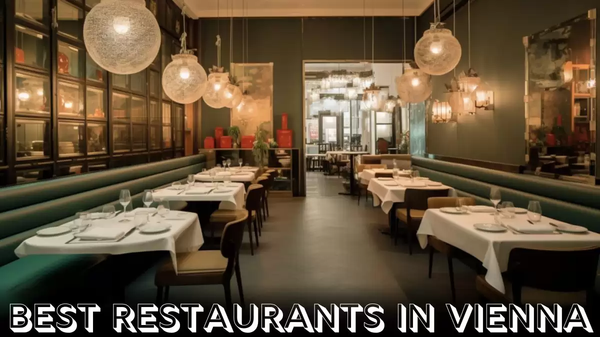 Best Restaurants in Vienna - Top 10 International Influences