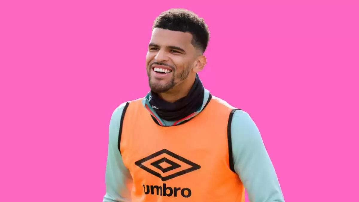 Dominic Solanke Ethnicity, What is Dominic Solanke