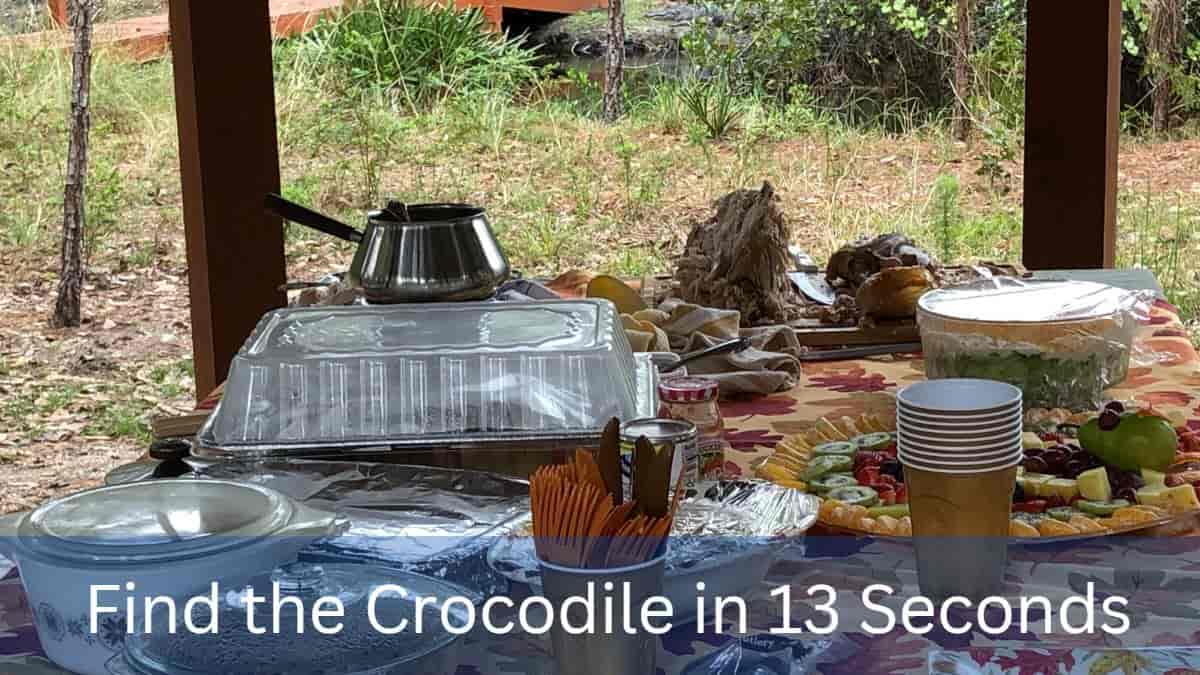 Find the Crocodile in 13 Seconds