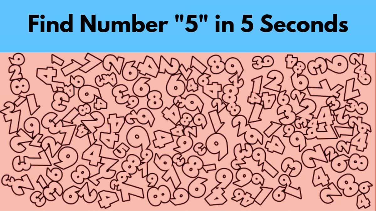Find Number 5 in 5 Seconds