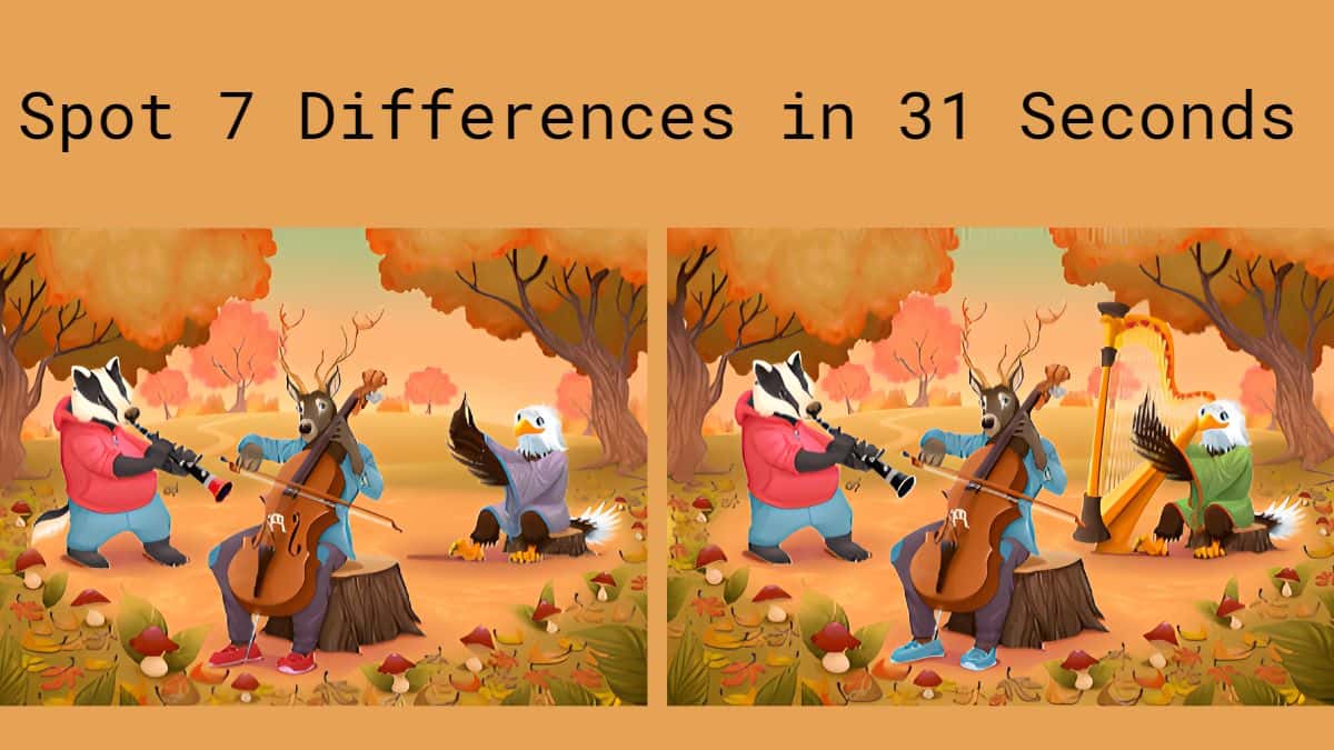 Spot 7 Differences in 31 Seconds