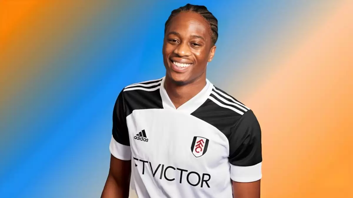 Terence Kongolo Ethnicity, What is Terence Kongolo