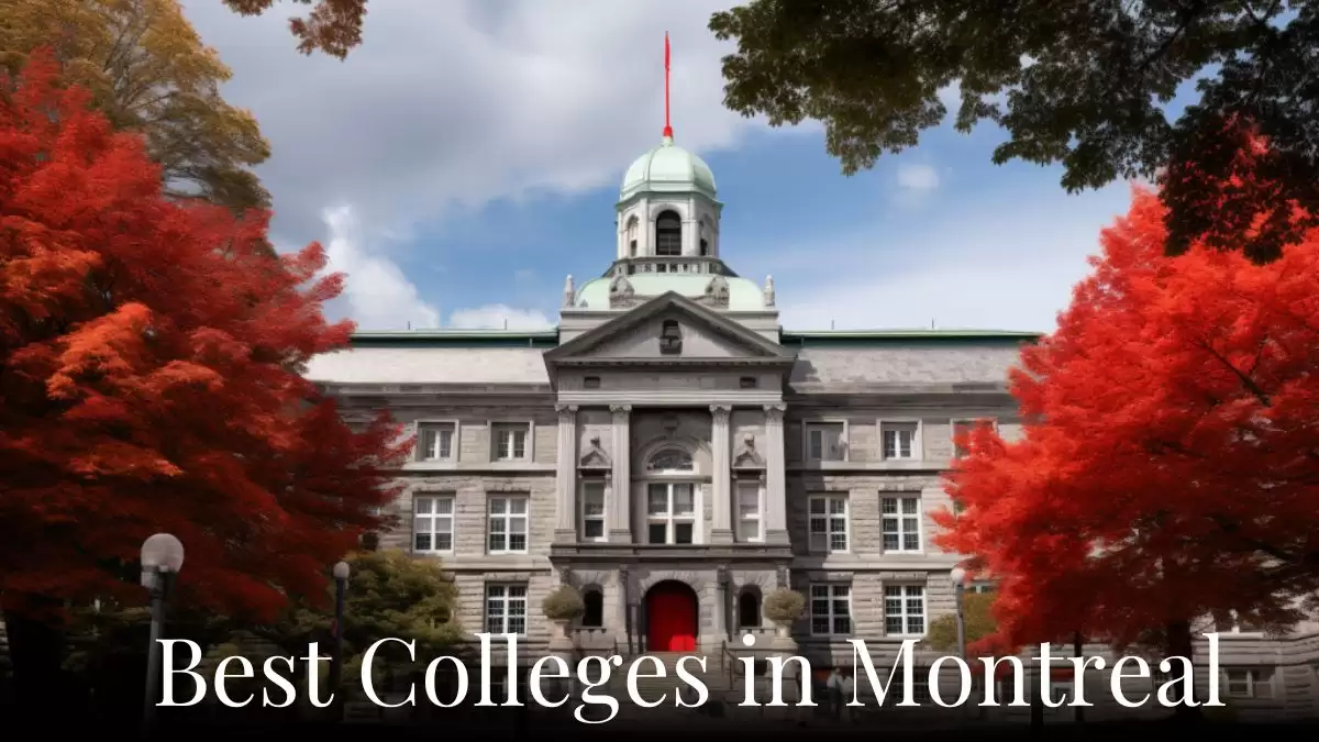 Top 10 Best Colleges in Montreal - Where Knowledge Meets Innovation