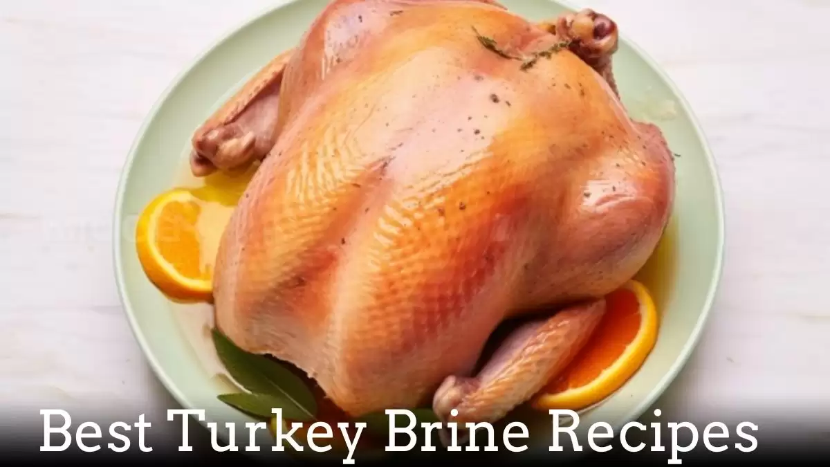 Top 10 Best Turkey Brine Recipes - Mastering the Art