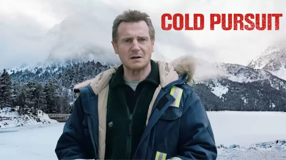 Is Cold Pursuit Based on a True Story? Cold Pursuit Introduction, Release Date, Where to Watch, Cast and Plot