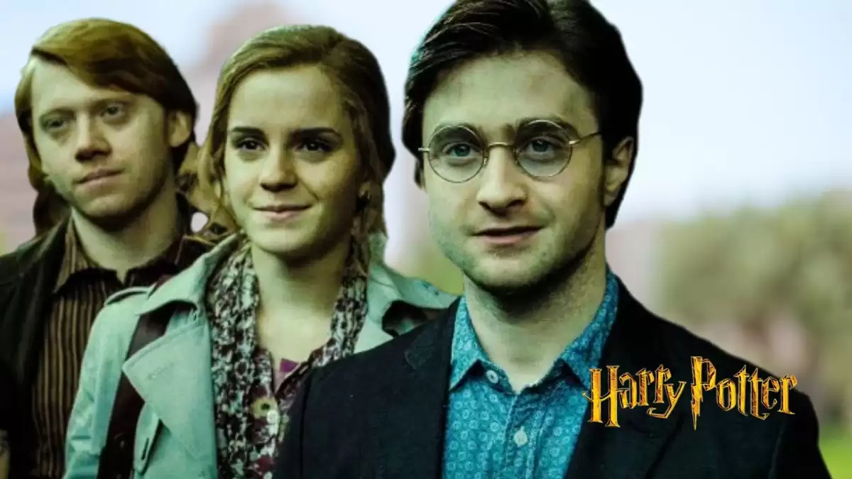 Will There Be Another Harry Potter Movie?
