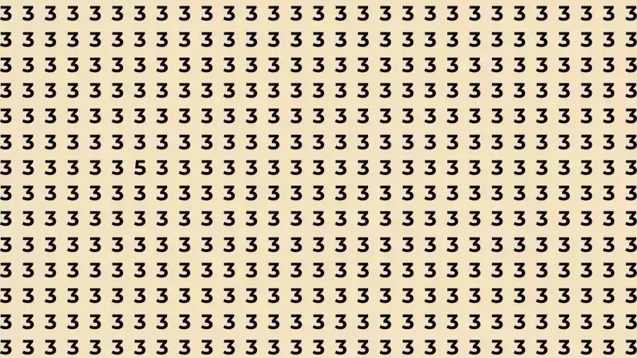 Observation Skills Test: If you have Eagle Eyes Find the number 5 among 3 in 15 Seconds?