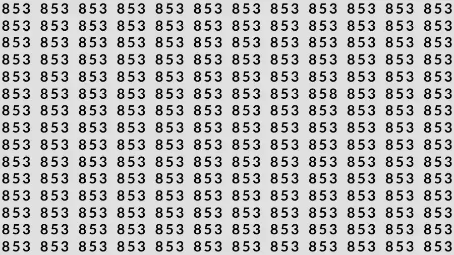 Observations Skills Test: If you have Sharp Eyes Find the number 858 among 853 in 7 Seconds?