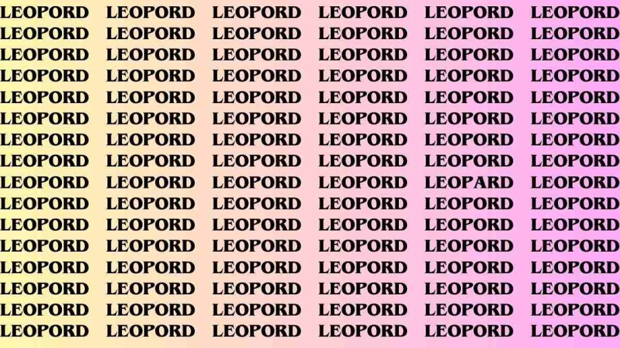 Brain Teaser: If you have Eagle Eyes Find the Word Leopard in 18 Secs
