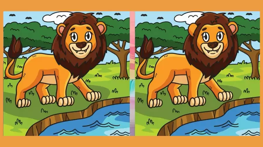 Brain Teaser Spot the difference Game: If You Have Sharp Eyes Find the Difference Between Two Images Within 20 Seconds?