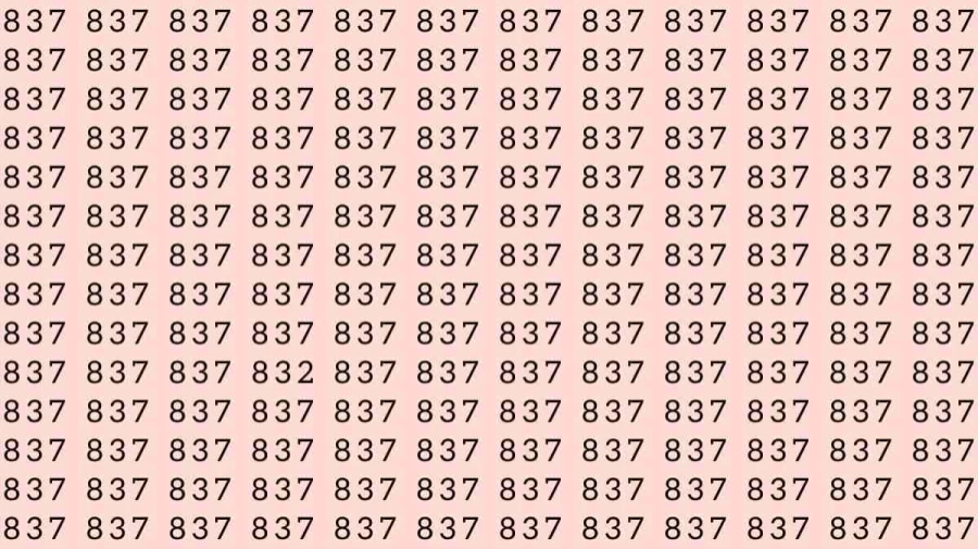 Optical Illusion Challenge: Find the Number 832 among 831 within 8 seconds