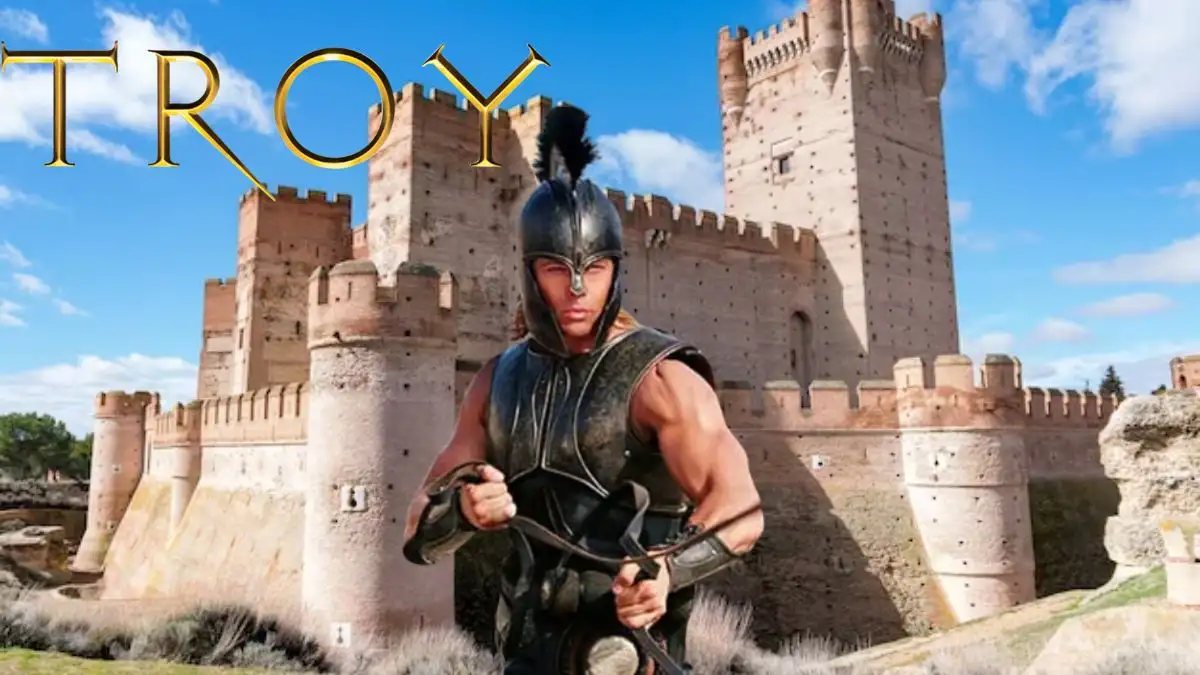 Is Troy a True Story? Troy Wiki, Plot, Cast, Where to Watch and More