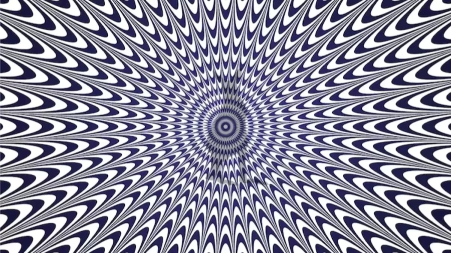 Optical Illusion Brain Test: Can you Find The Hidden Animal In This Image within 10 Seconds?