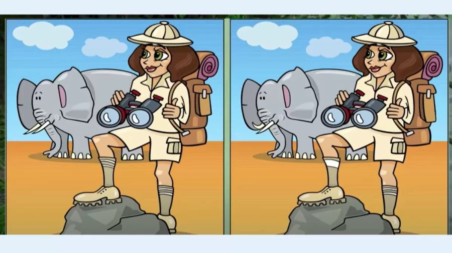 Optical Illusion Spot the Difference: Can you spot the 3 Differences between these two Images?