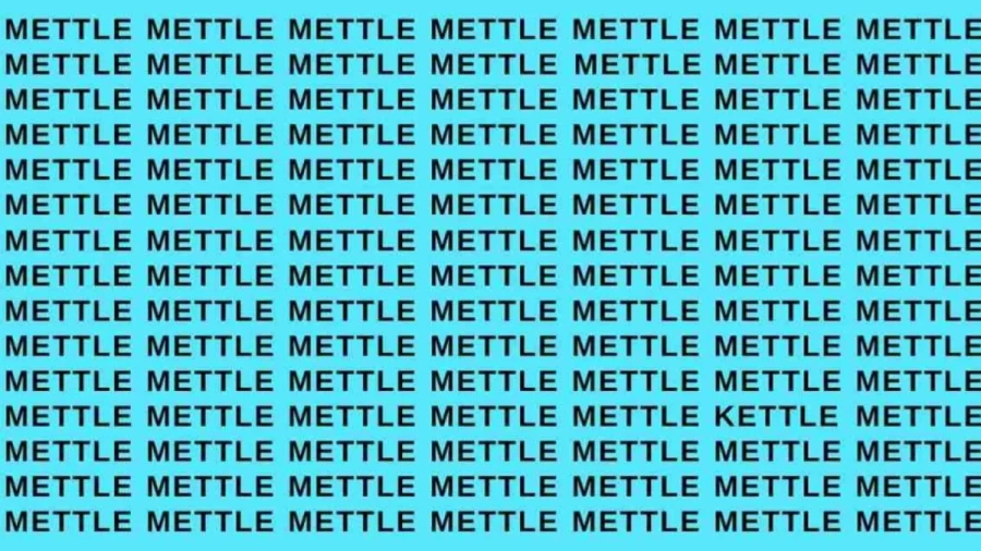 Observation Skill Test: If you have Eagle Eyes find the word Kettle among Mettle in 10 Secs