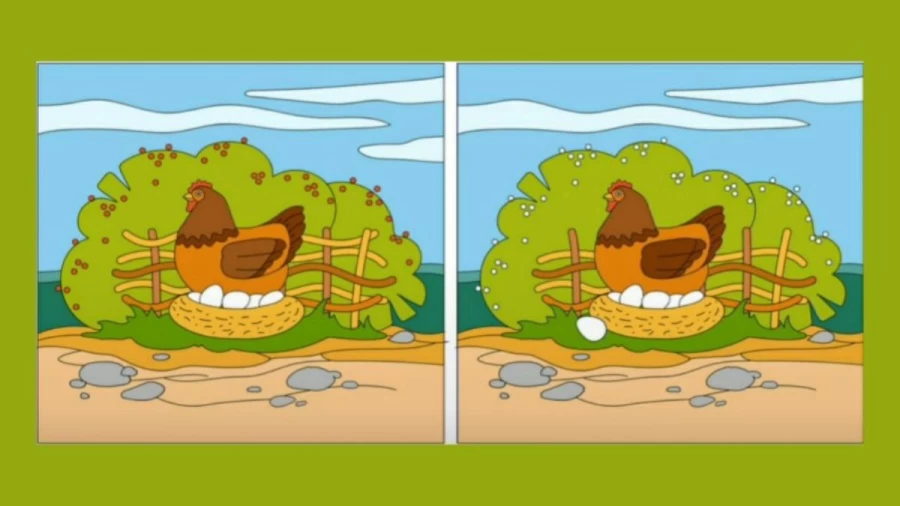 Optical Illusion Spot The Difference: If you have Sharp Eyes Find the Difference Between Two Images Within 20 Seconds
