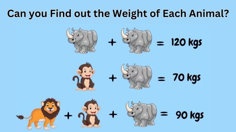 Brain Teaser: Can you Find out the Weight of Each Animal? Math Puzzle