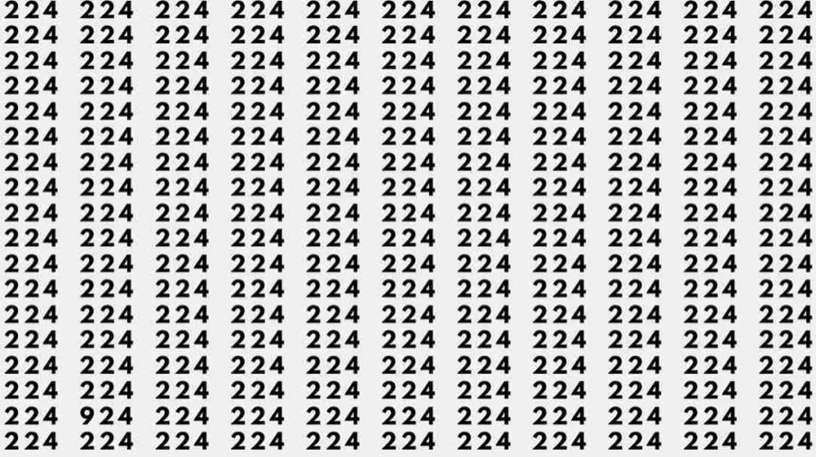 Optical Illusion Challenge: If you have sharp eyes find 924 among 224 in 10 Seconds?