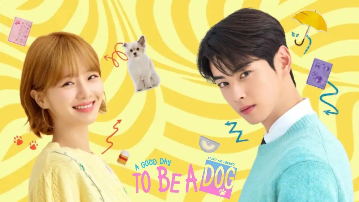 A Good Day to be a Dog Episode 14 Ending Explained, Release Date, Cast, Plot, Summary, Review, Where to Watch and More