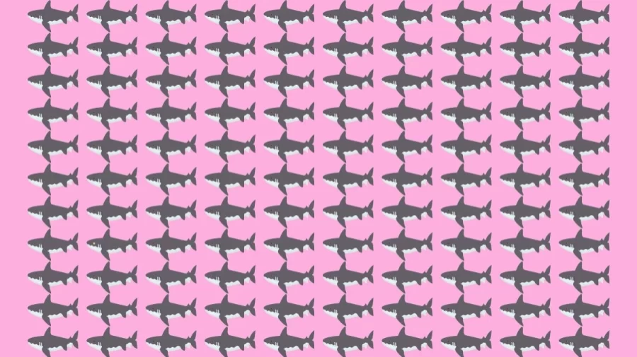 Observation Skill Test: Can you find the Odd Shark in 10 Seconds?