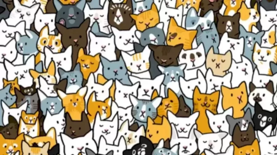 Optical Illusion Eye Test: If you have Hawk Eyes find the Hidden Bunny among these Cats in less than 20 Seconds