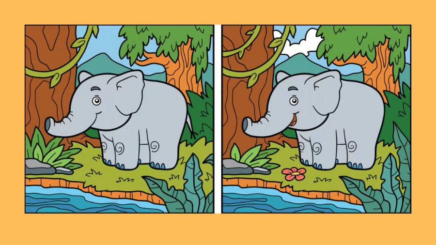 Spot the Difference: Only a Genius can Find the 8 Differences in less than 45 seconds!