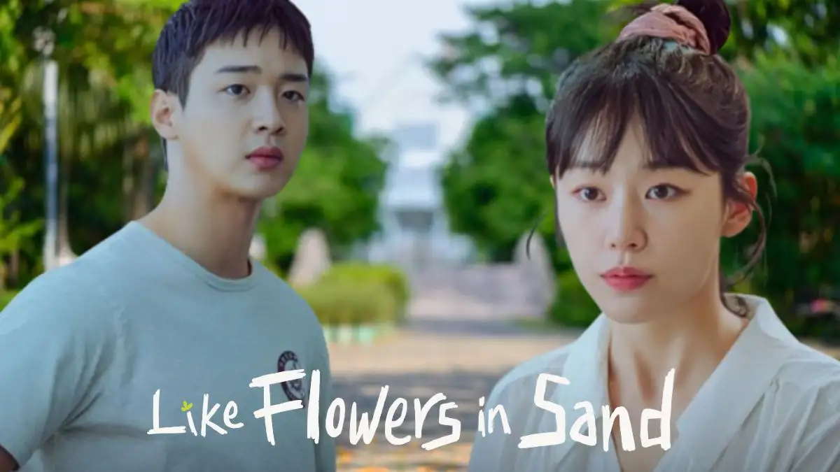 Will There Be Like Flowers in Sand Season 2? Like Flowers in Sand Plot, Cast, Trailer, and Where to Watch