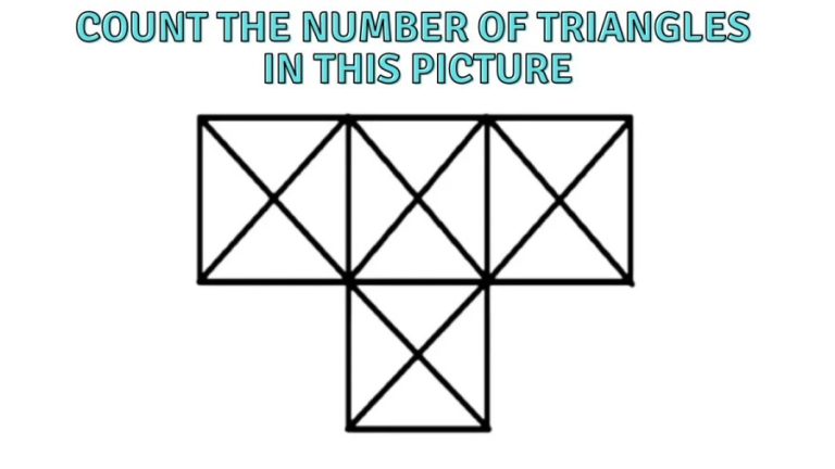 Brain Teaser Eye Test - Count the Number of Triangles in this Picture