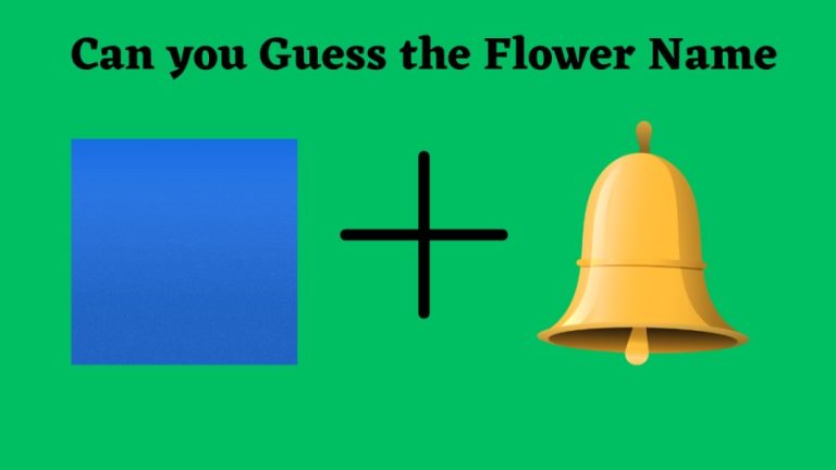 Brain Teaser Picture Puzzle: Can You Find the Flower Name From the Clues?