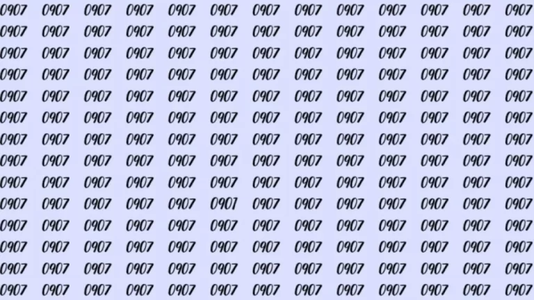 Can You Spot 0901 among 0907 in 10 Seconds? Explanation And Solution To The Optical Illusion