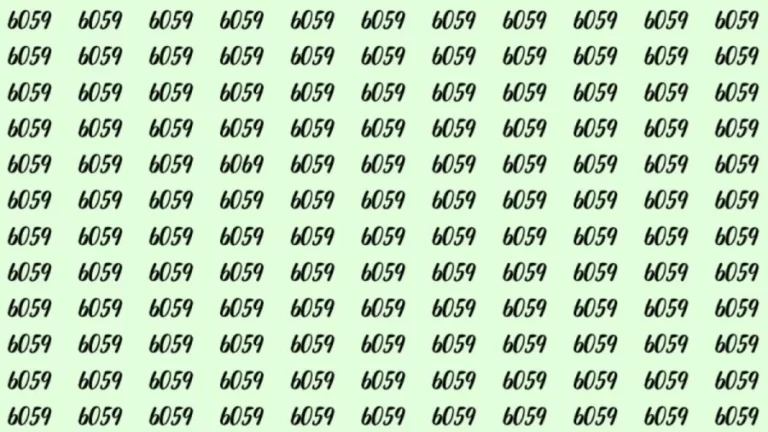 Can You Spot 6069 among 6059 in 5 Seconds? Explanation And Solution To The Optical Illusion